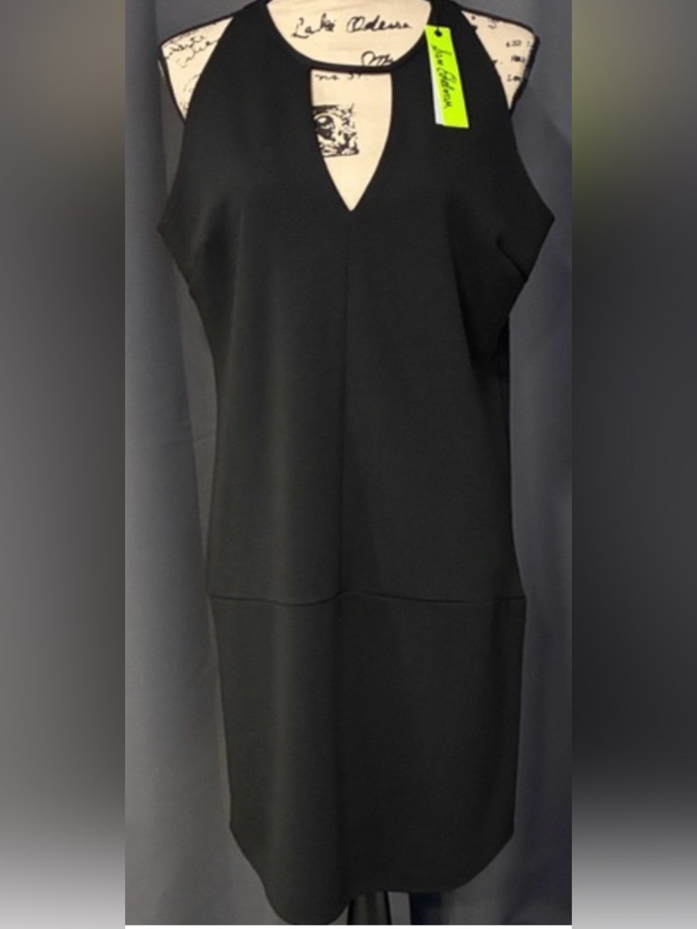 Sam Edelman Black Sleeveless V-Notch Dress